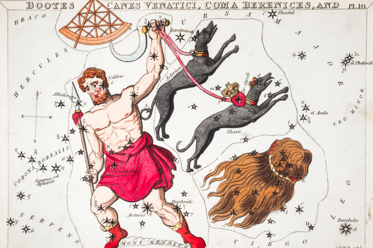 Mythology Behind Coma Berenices Constellation and its Archetypical Analyses